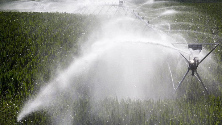 Educators and specialists from Nebraska Extension will discuss water issue that may affect farming operations at a water and crops field day at the West Central Research and Extension Center on Aug.23.