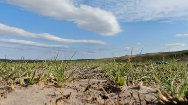 Rangeland in Lincoln County, Nebraska two months after the February 27, 2024 Betty's Way wildfire.