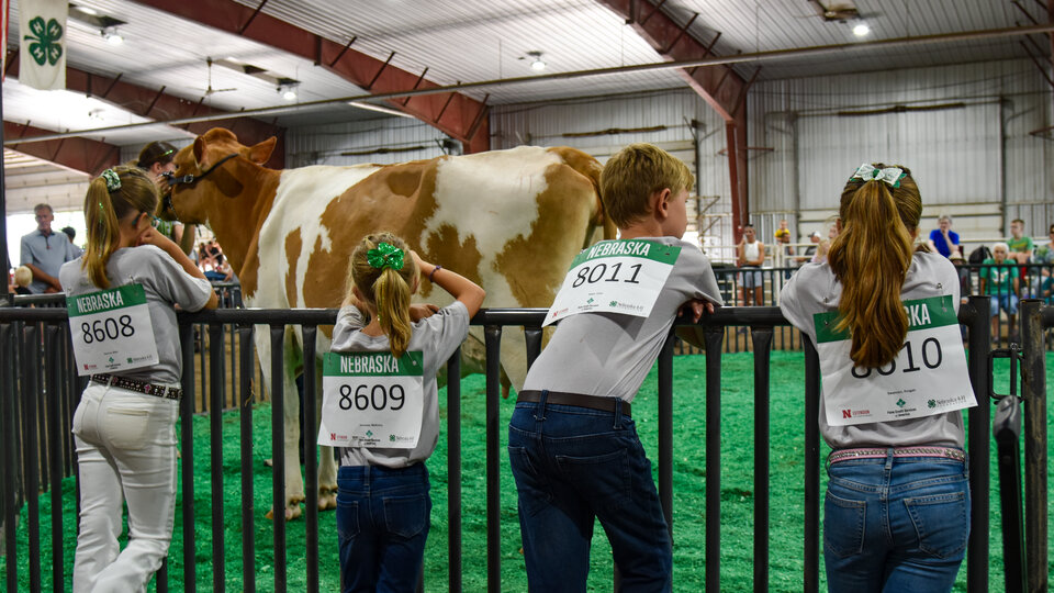 Saunders County 4-H