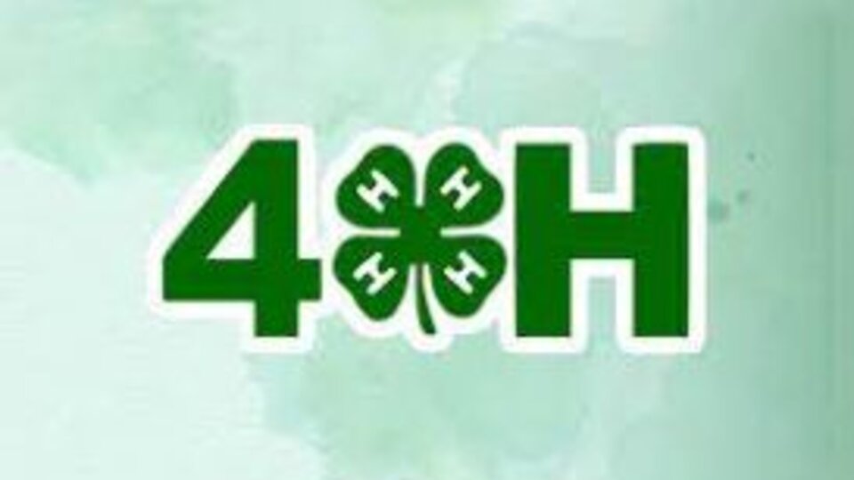 picture of the word 4-H with a four leaf clover in the middle with H's on each leaf