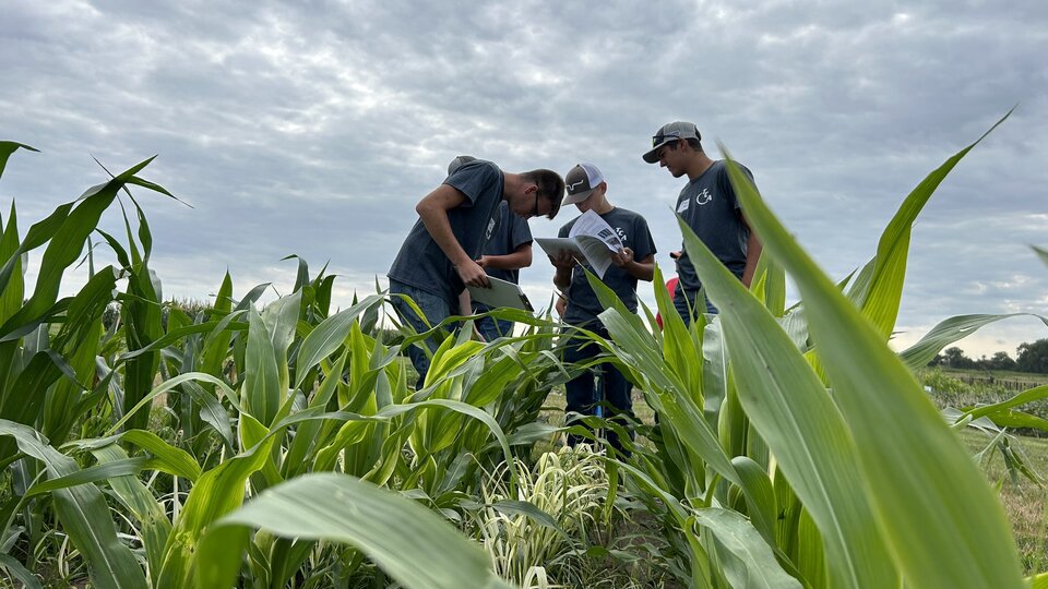 Youth Crop Scouting Day 