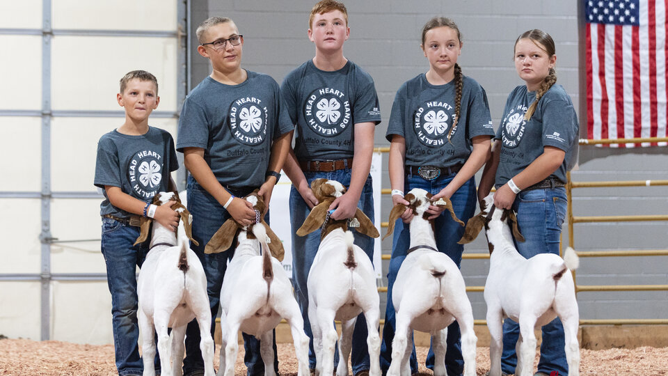 Group of 4-H youth with their goats in the ag pavilion at the Buffalo County Fair