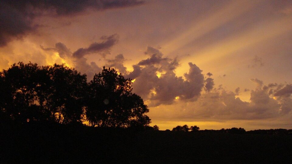 Golden light stretches across a dusky horizon behind the silhouette of trees. 