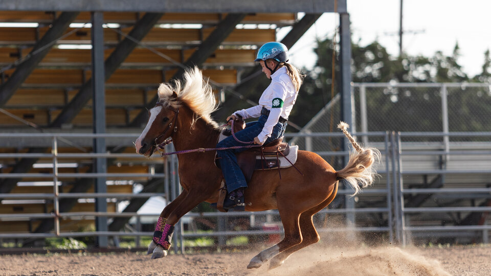 Horse Show at Buffalo County Fair