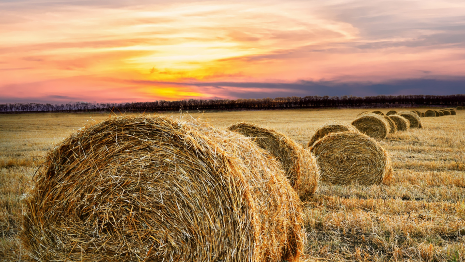 Hay bales with colorful sunset view in background