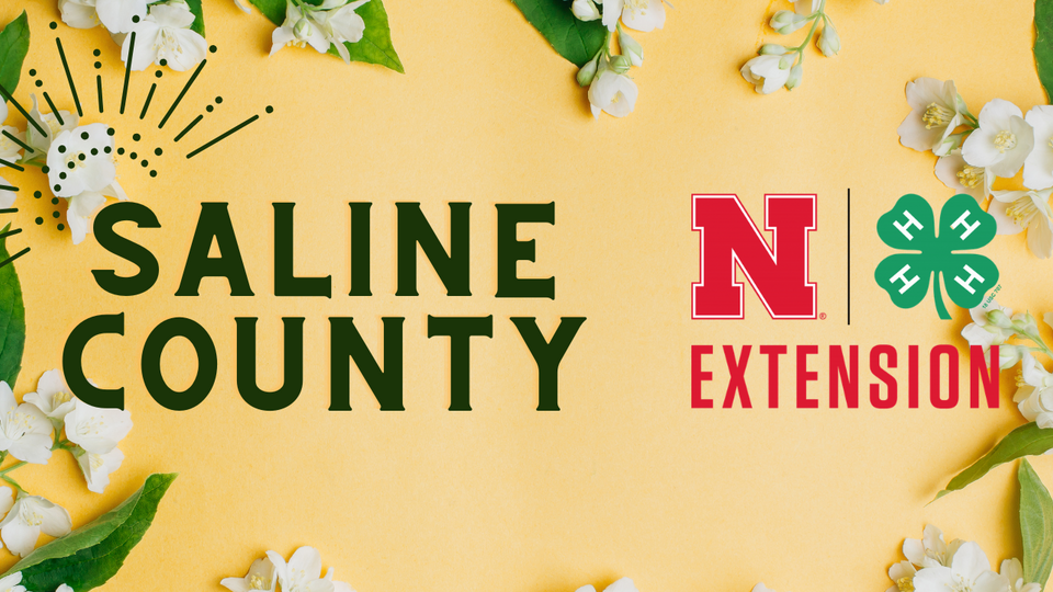 Saline County Nebraska Extension logo on a yellow background with white flowers and green leaves.