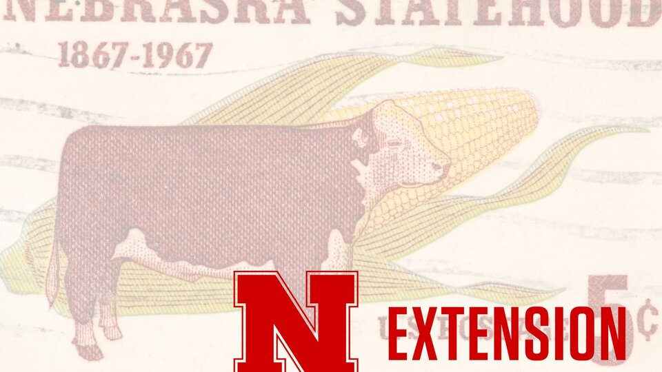 Welcome to Webster County Extension