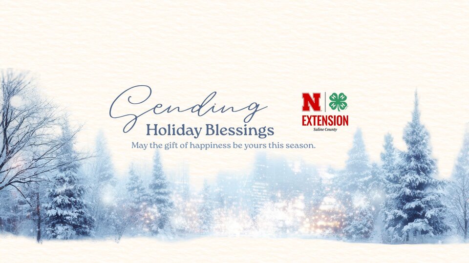 Saline Winter Holiday 1920 x 1080