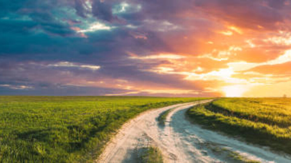 Sunset on farmland