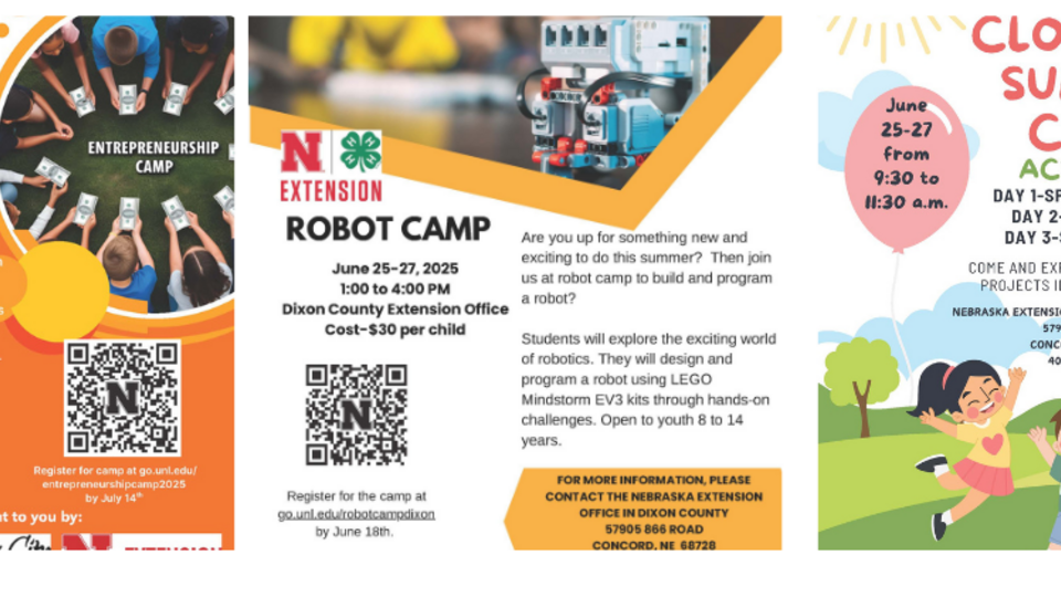 summer camps