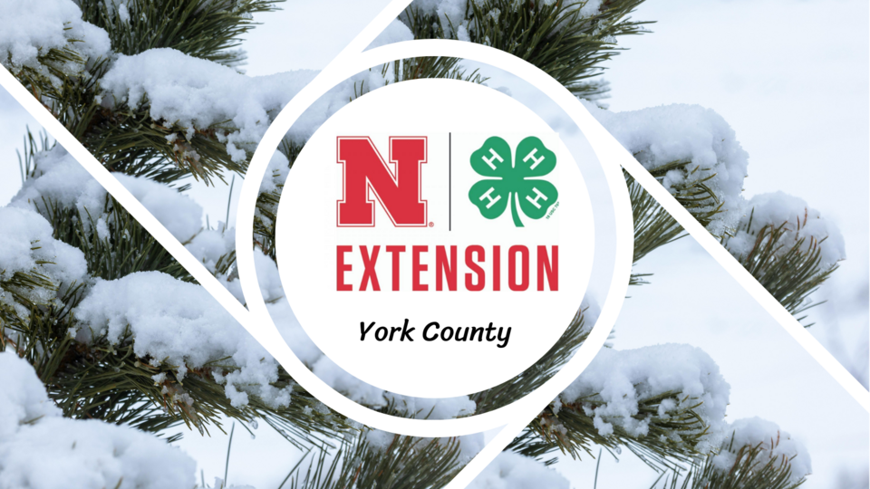 York Winter front page