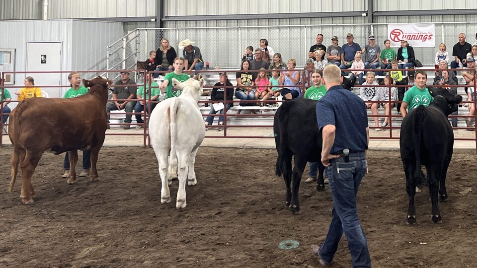 Cedar County Beef Show