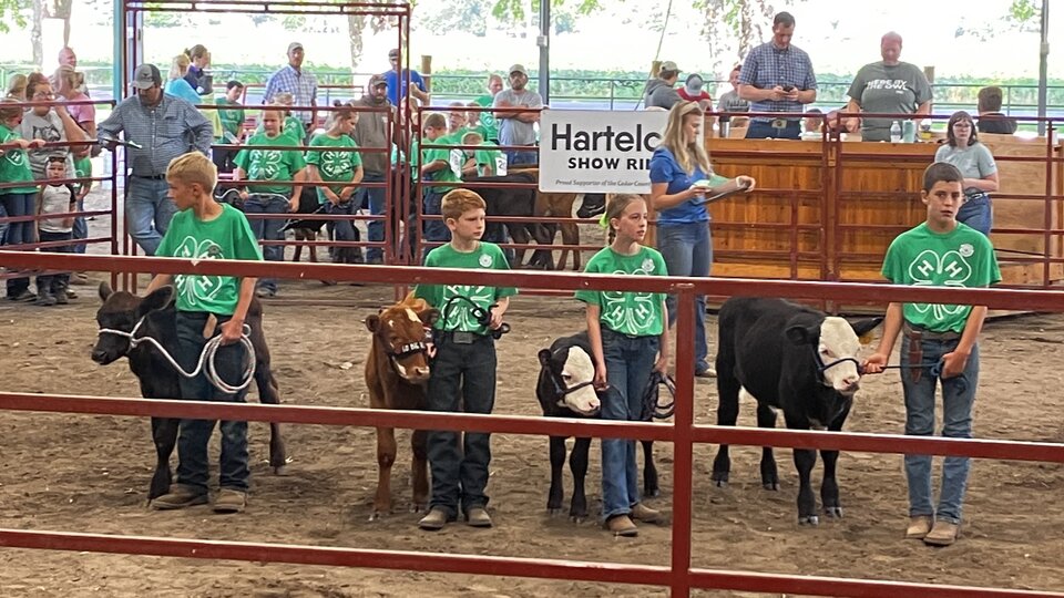 Cedar County Bucket Calf Show