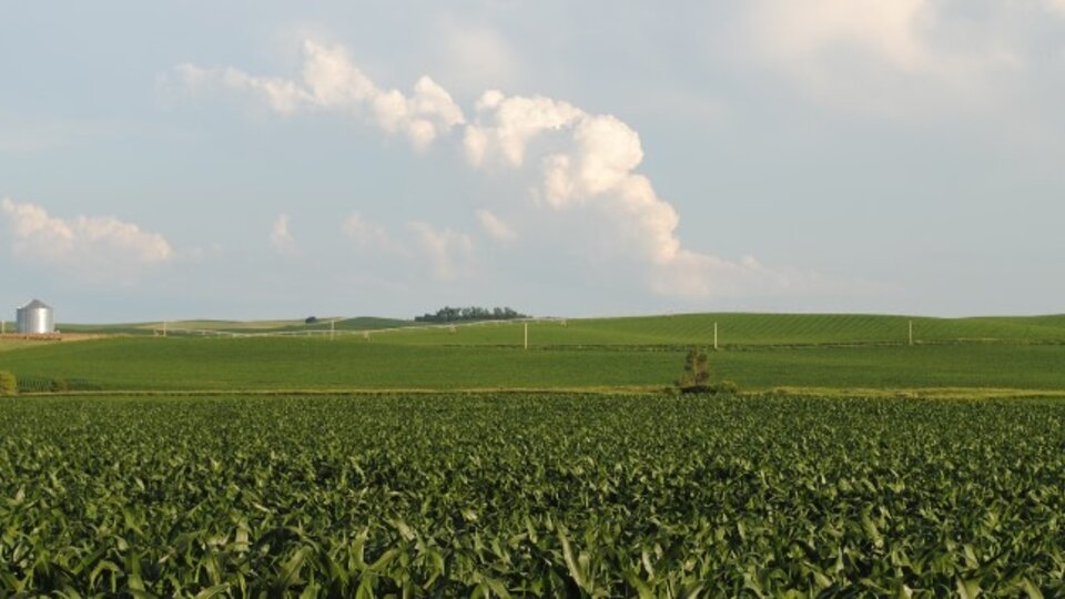 farmland