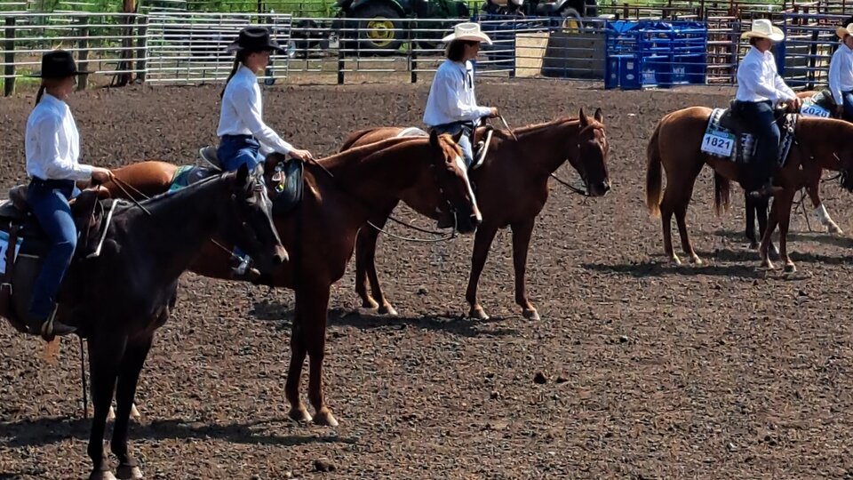 Cedar County Fair Horse Show