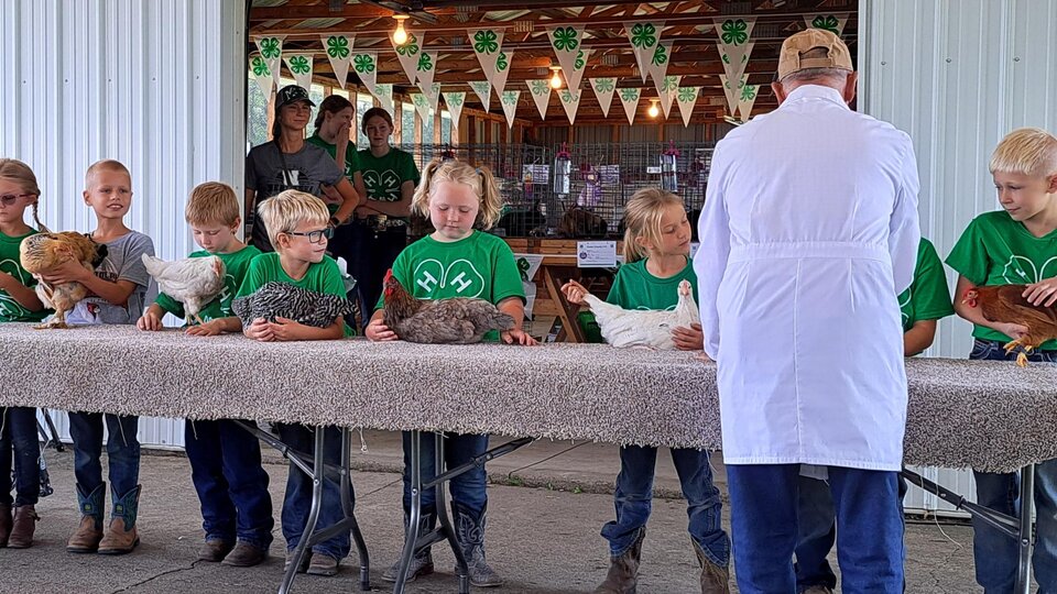 Cedar County Fair Poultry Show