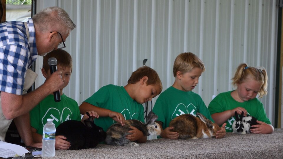 Cedar County Fair 4-H Rabbit Show