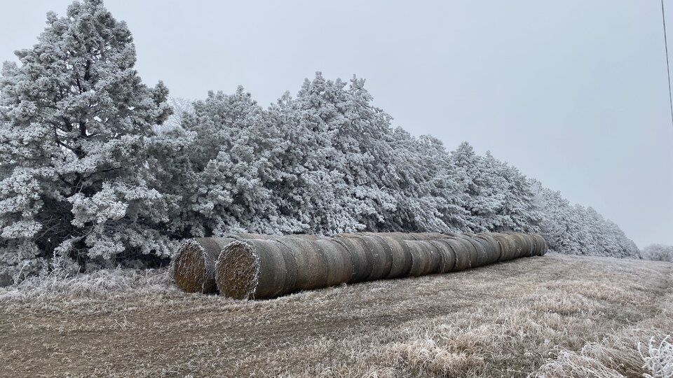 Pierce county winter