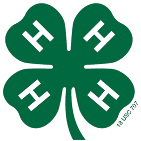 4-H