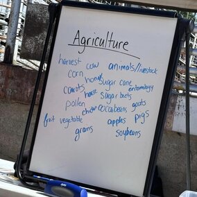 Ag Lit 24 Ag Careers 