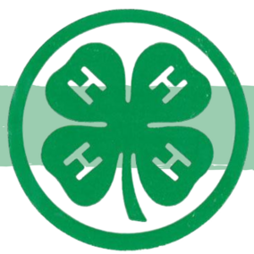 DC 4-H