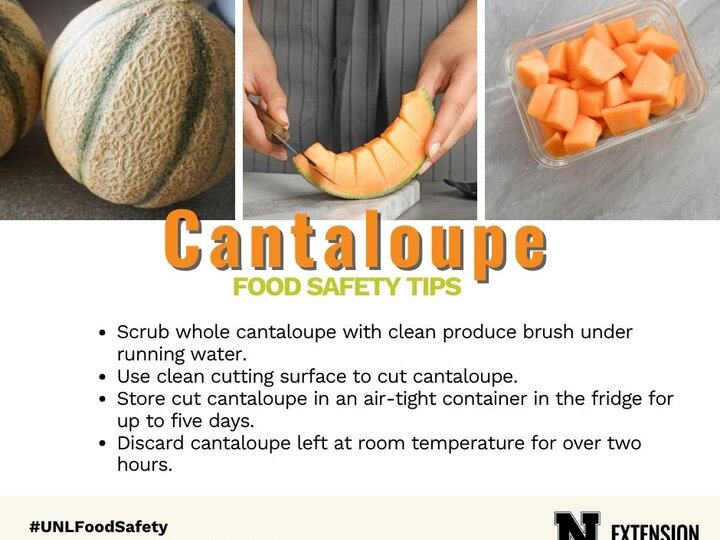 Cantaloupe food safety