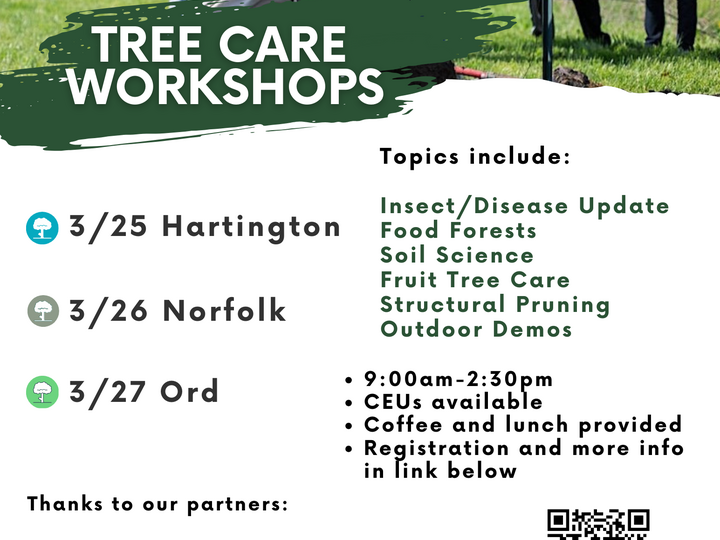 Tree Care Workshops