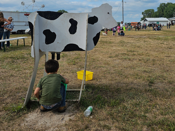Child crouching to milk mock cow at outdoor event with distant crowd and tents under a blue sky.