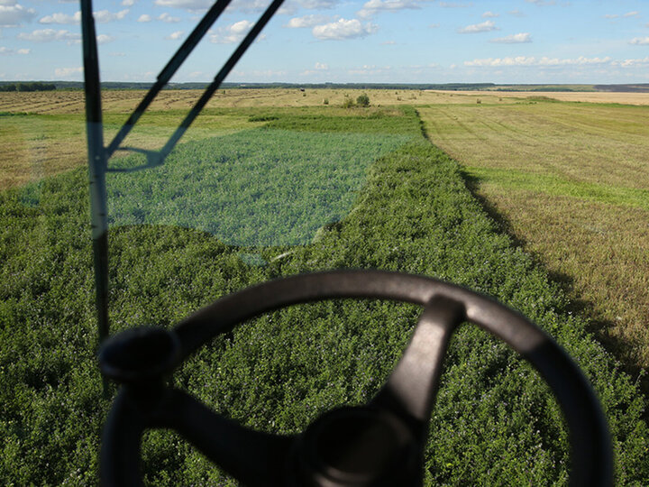 Green farmland viewed from inside a vehicle, with a steering wheel in the foreground.