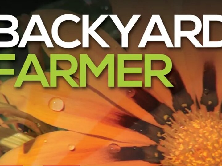 Backyard Farmer logo over a close-up of an orange flower with water droplets.