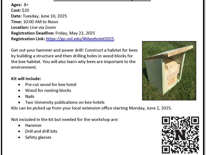 Bee Hotel Virtual Workshop