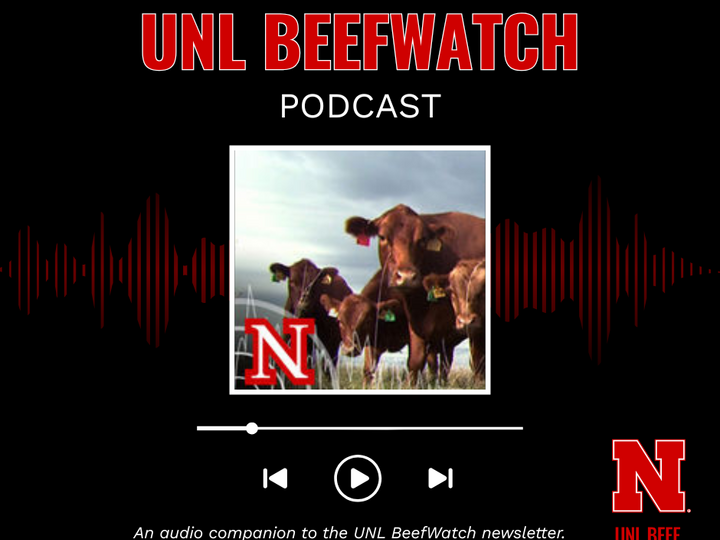UNL Beefwatch