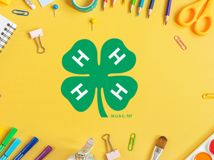 School Enrichment Banner