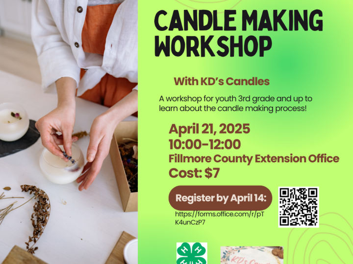 Candle Making Workshop Fillmore County
