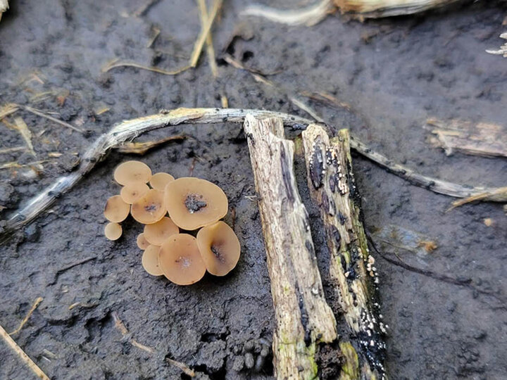 Confronting Cropping Challenges