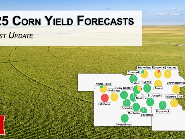 Corn Yield Forecast