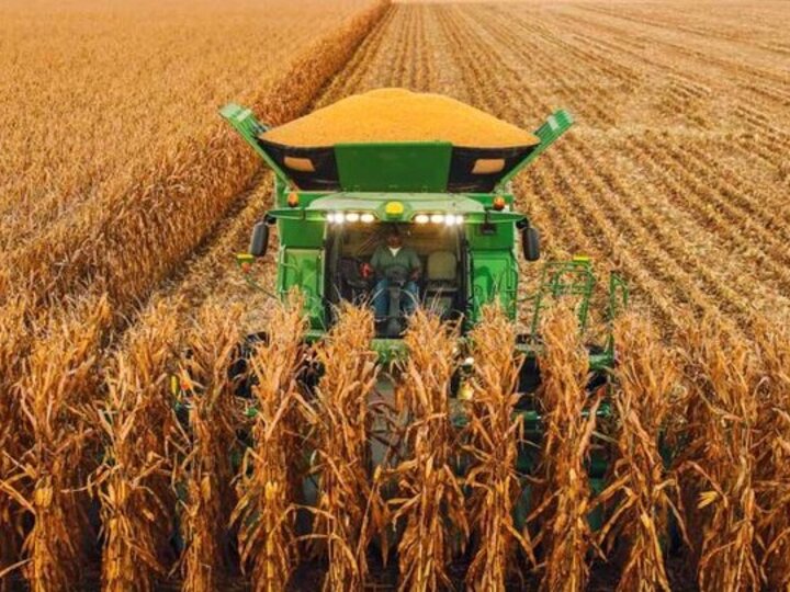 Combine in corn field