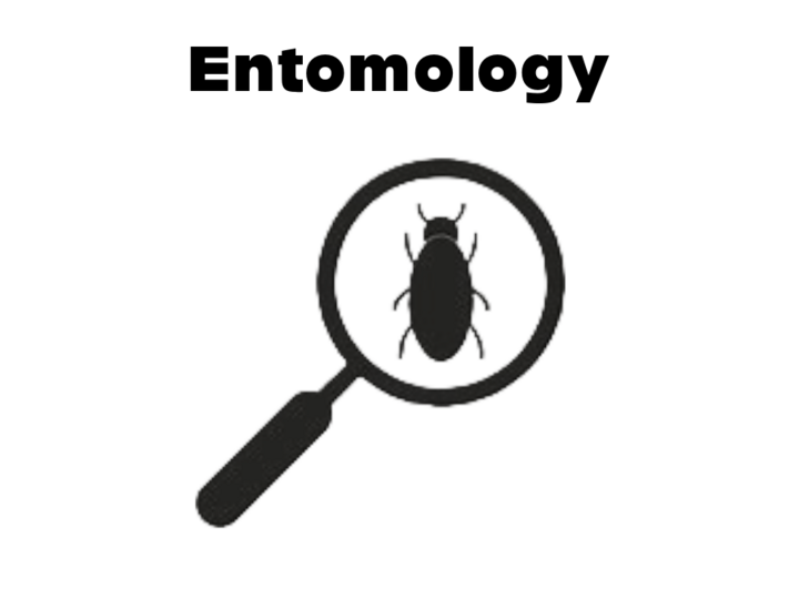 Pawnee Entomology