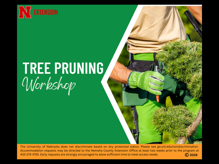 Tree pruning workshop text on a green background with a person trimming a tree branch.