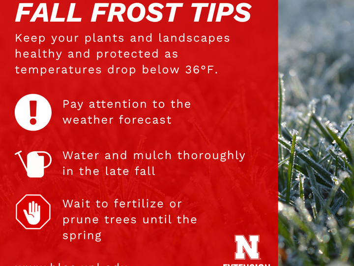 Fall Frost Tips - Keep your plants and landscapes healthy and protected