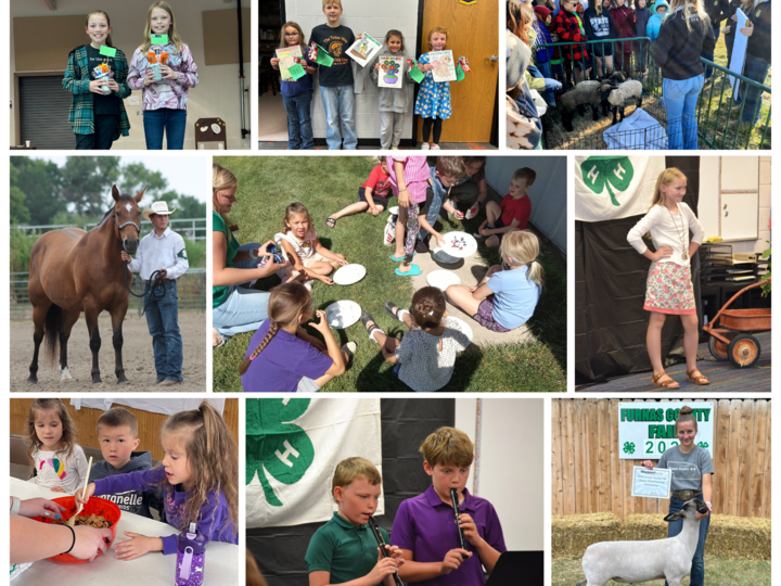 Furnas County Join 4-H