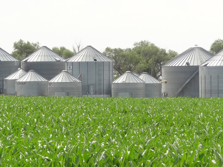 Grain silos behind a green crop field on a sunny day.
