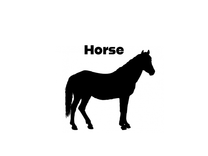 Horse