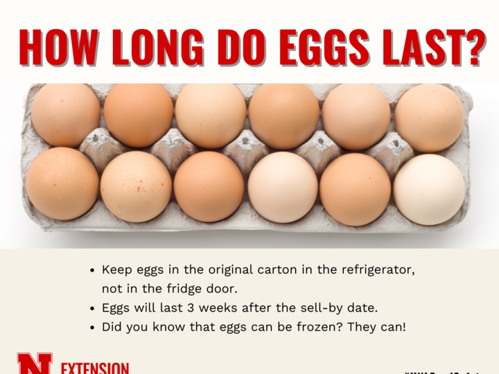 How Long do eggs last