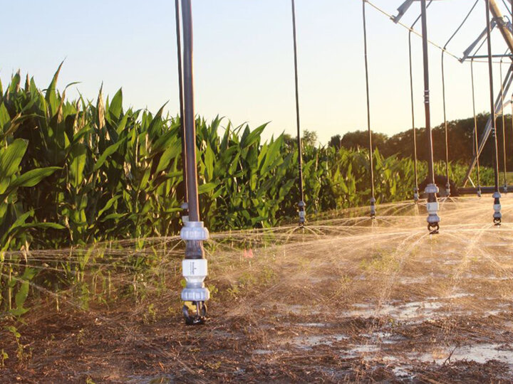 Irrigation system spraying water onto a field of green crops at sunset.