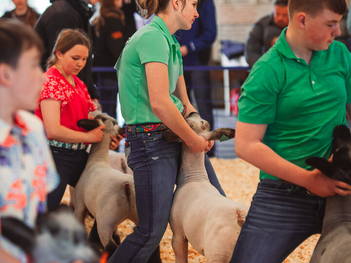 Gage County Livestock Showdown