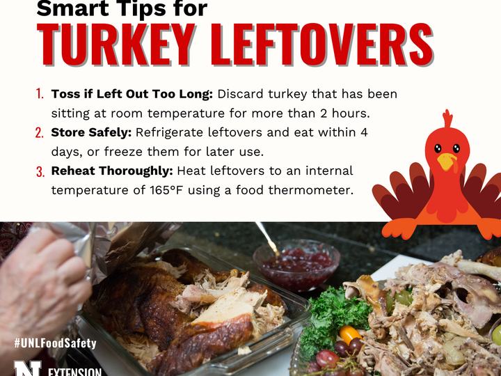 Turkey leftovers