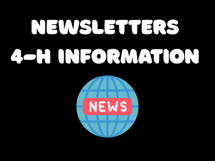 Newsletters 4-H Information text above a globe icon with "News" in red and white.