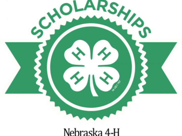 NE 4-H Foundation Scholarships Logo