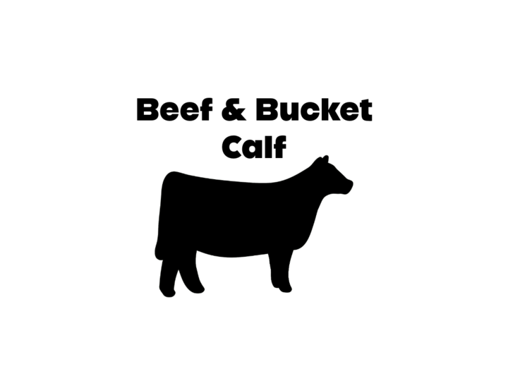 Beef and Bucket Calf